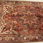 869 2127 ORIENTAL RUG